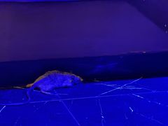 -觅KTV(岳峰大厦店)