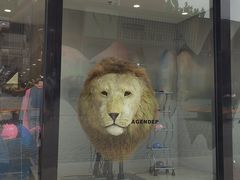 -三里屯太古里