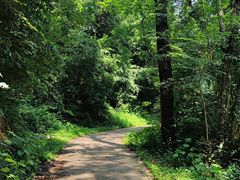 -青龙山国家森林公园
