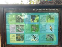 -大湾区中央湿地公园