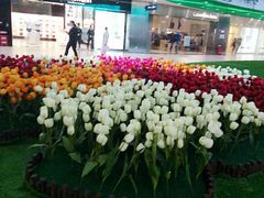 -保利MALL(天鹅湖店)