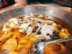 蜀龙阁水煮鱼-雲蜀龙阁·金牌水煮鱼(方庄店)