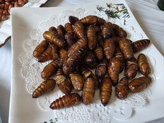 -宾朋海鲜饭庄(兴海路店)