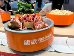 -龍歌自助小火锅(市北台东利群店)