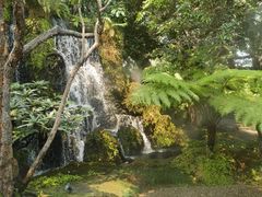 -Chom Cafe and Restaurant