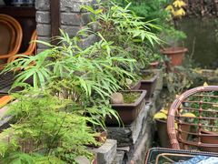 -恺庐茶园(宽窄巷子景区店)