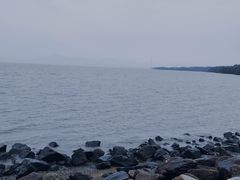 -深圳湾公园(南山区)