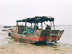 -北海金海湾红树林生态旅游区