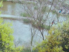 -重庆彩云湖湿地公园
