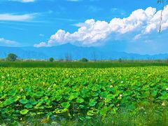 -野鸭湖国家湿地公园