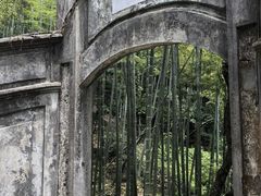 -莫干山风景区