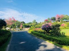 -东莞植物园