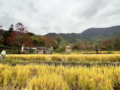 -塔川景区