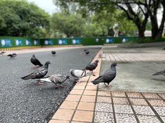 -广州动物园