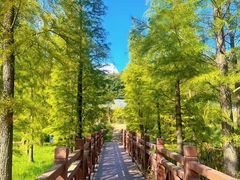 -广州市石门国家森林公园