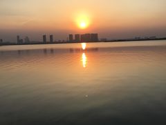 -瑶湖郊野森林公园