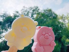 -芜湖方特水上乐园