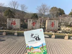 -香雪海