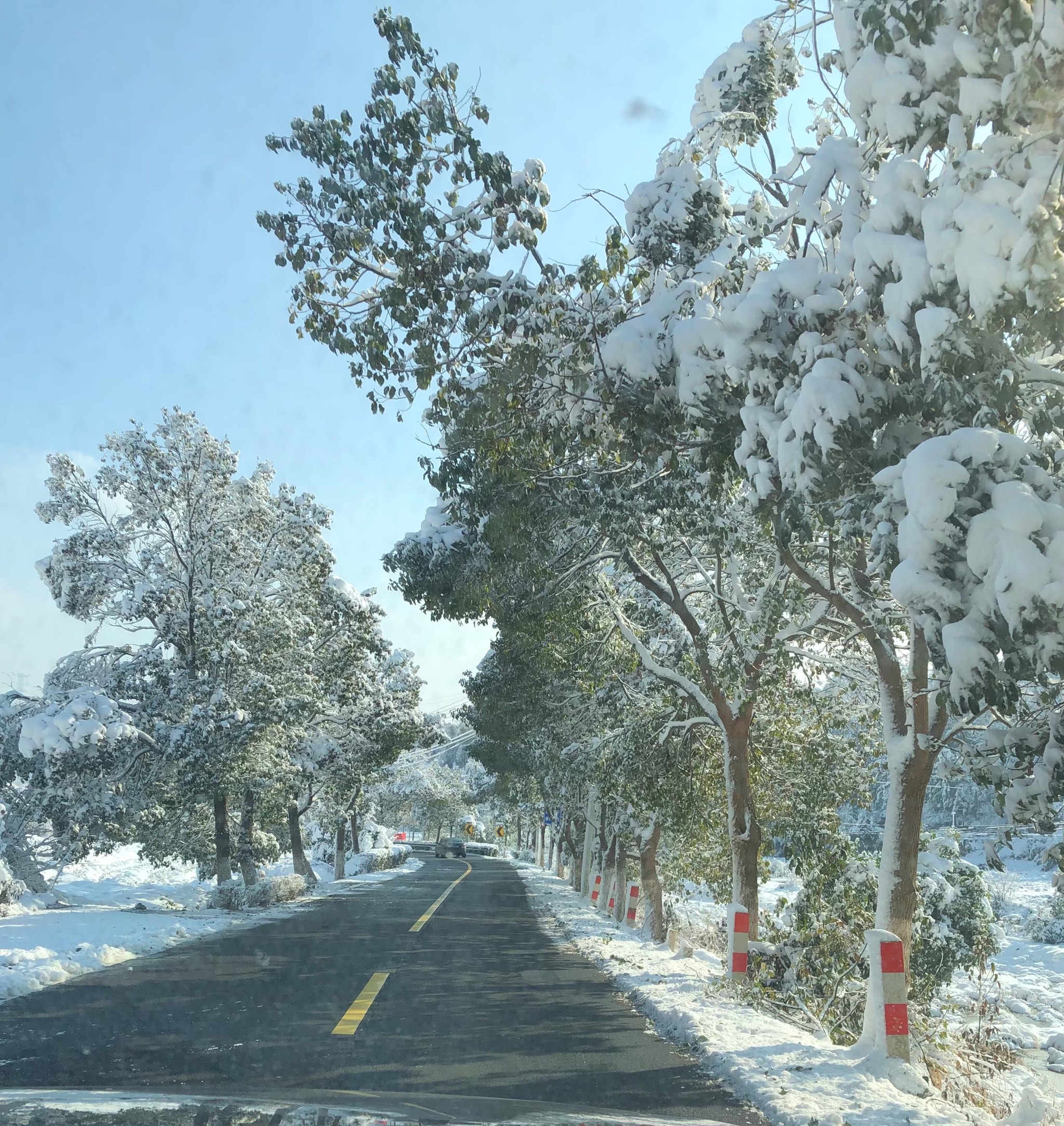 湖南长沙雪景图片