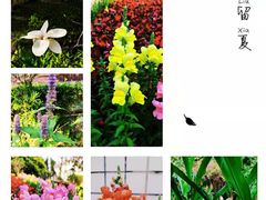 -广州神农草堂中医药博物馆