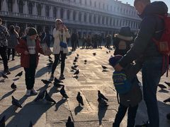 -圣马尔谷圣殿宗主教座堂