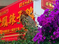 -黔凤辣子鸡