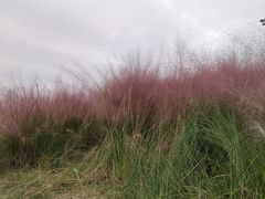 -中国天府农业博览园