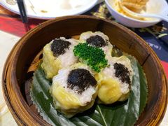 -点都德·毕德寮