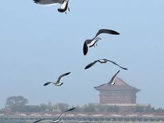 -长岛南北长山旅游景区