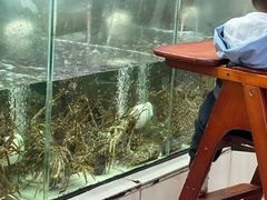 -滑记海鲜饭店·老字号(海鲜街店)
