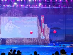 -华夏文旅海洋公园