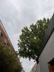 点击看大图 -爱儿美儿童摄影(五路居花园别墅店)