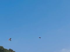 -CHARLES&KEITH(城西银泰店)