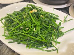 野菜-美极鲜食坊(宝安南路店)