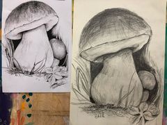 -上海峰子美术教育培训机构(杨浦店)