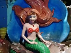 -海合安青岛极地海洋公园