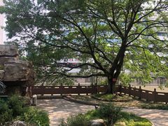 -成都市活水公园