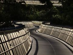 -福道