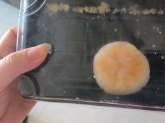 -龙兴·动物奶油生日蛋糕(龙北店)