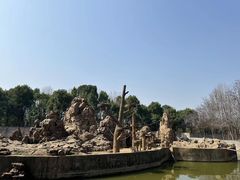 -合肥野生动物园