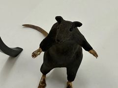 -胶囊画廊