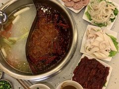 -朱氏胖子烂火锅(洪崖洞店)