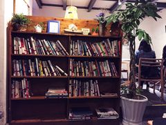 -猫的天空之城概念书店(西塘古镇店)