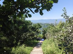 -北京十三陵国家森林公园蟒山景区