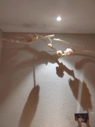 -香秀空间科技抗衰·美容中心