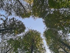 -宜兴龙背山森林公园