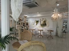 大堂-共舞时光猫咖·狗咖(新街口店)