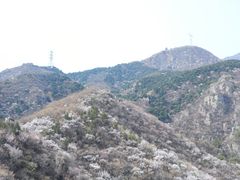 -鹫峰国家森林公园