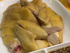-巫记鸡饭店