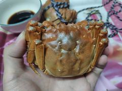 -喜洋洋蟹庄(阳澄湖店)